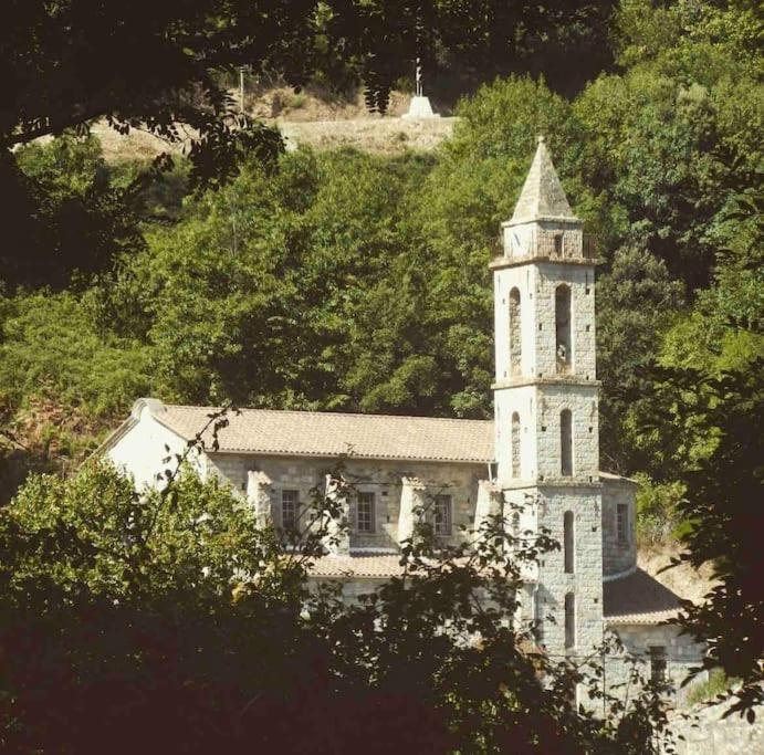 Casa Arena Authentique Maison De Village Avec Piscine Au Coeur De L'Alta Rocca - Zoza Exteriör bild
