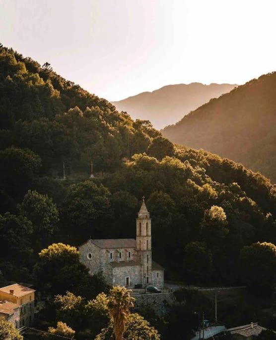 Casa Arena Authentique Maison De Village Avec Piscine Au Coeur De L'Alta Rocca - Zoza Exteriör bild
