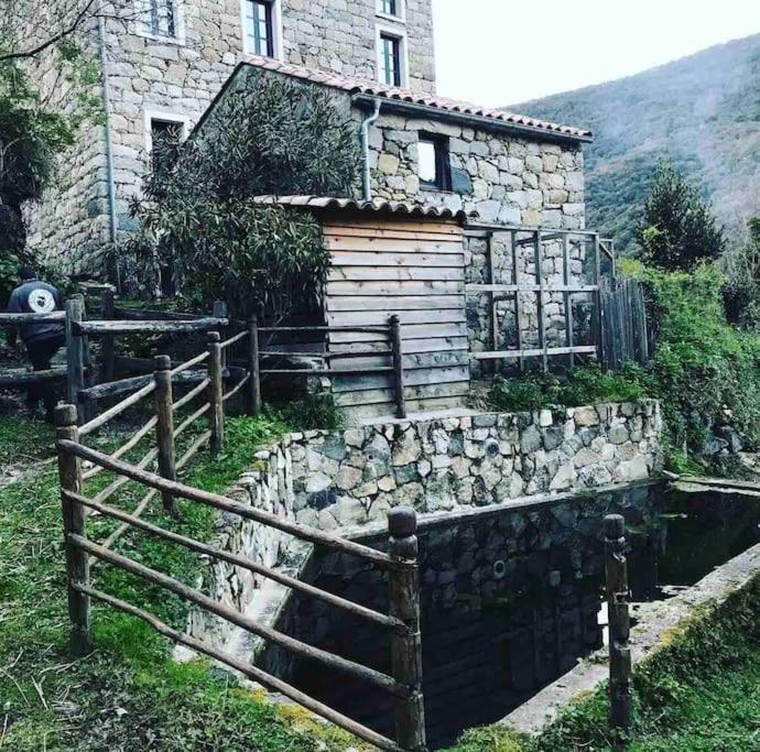 Casa Arena Authentique Maison De Village Avec Piscine Au Coeur De L'Alta Rocca - Zoza Exteriör bild