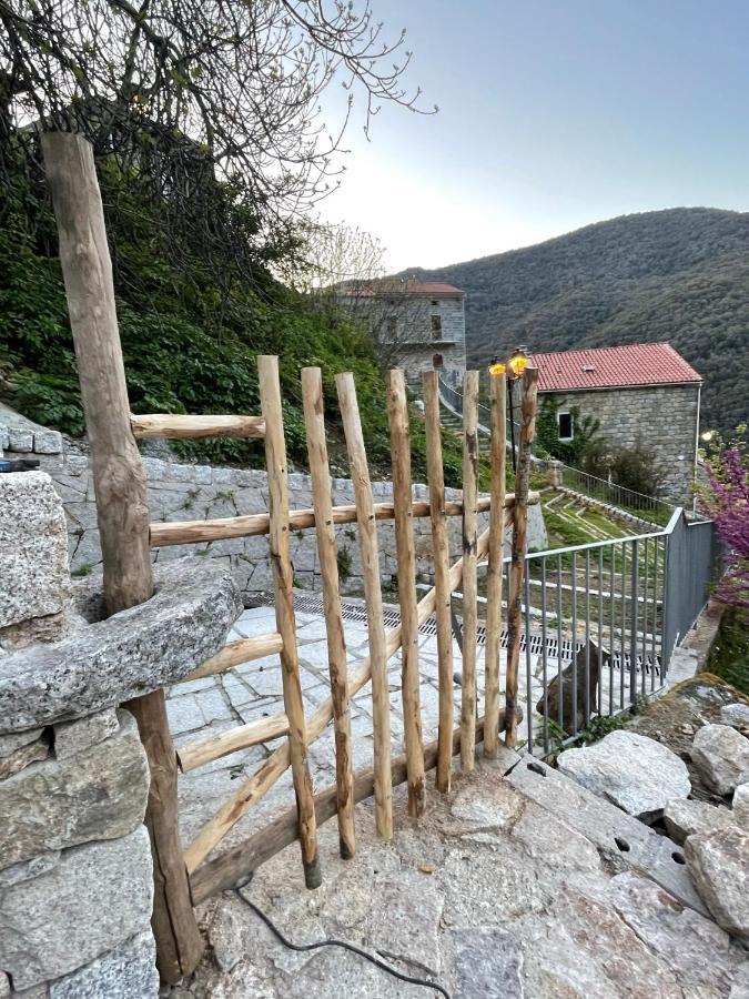 Casa Arena Authentique Maison De Village Avec Piscine Au Coeur De L'Alta Rocca - Zoza Exteriör bild