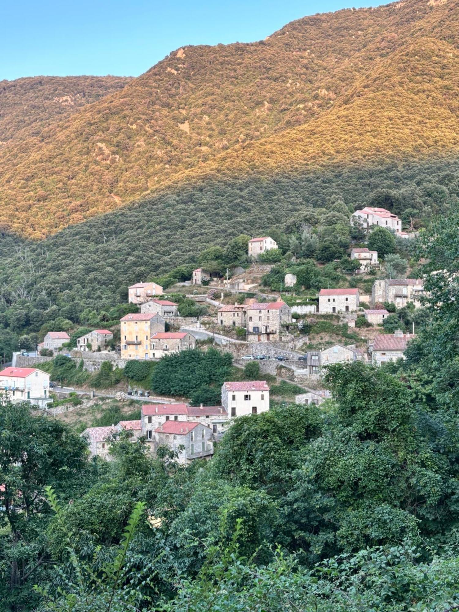 Casa Arena Authentique Maison De Village Avec Piscine Au Coeur De L'Alta Rocca - Zoza Exteriör bild